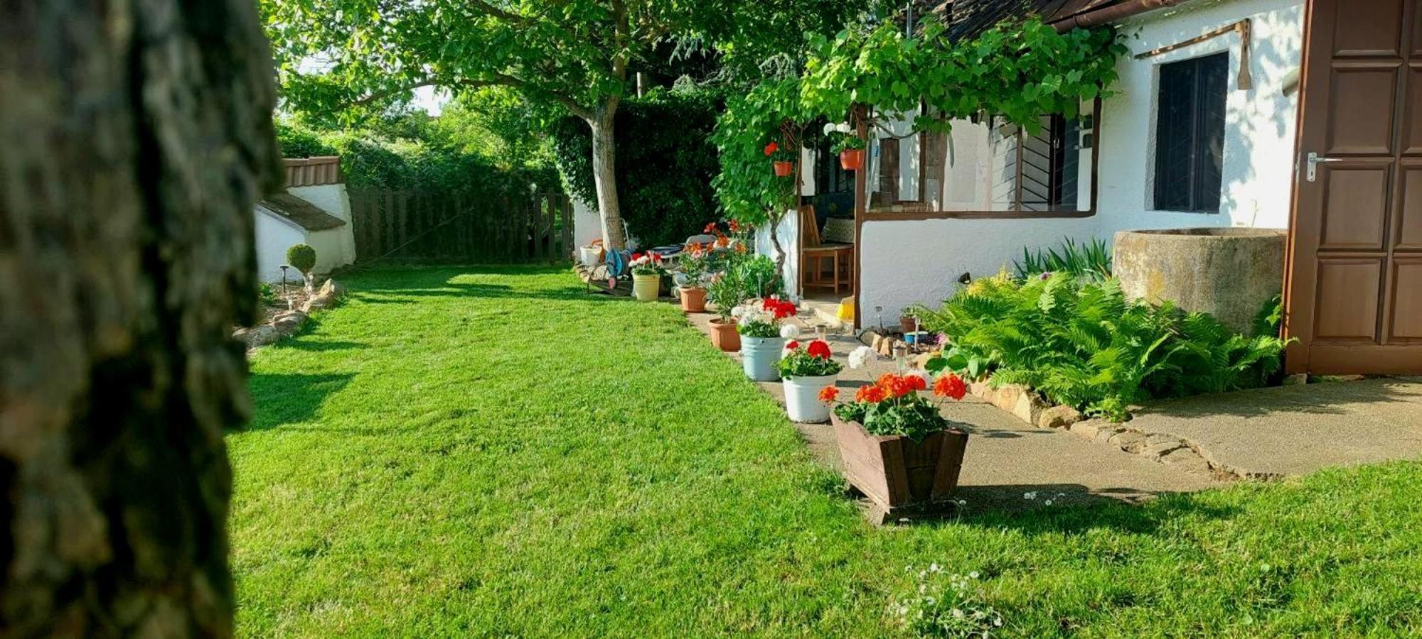 100 Eves Preshaz Villa Badacsonyors Ngoại thất bức ảnh